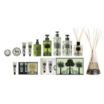 ORTIGIA - FICO D'INDIA