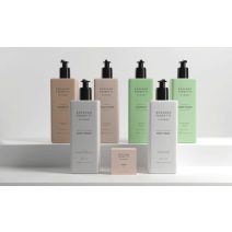 ROSSANO FERRETTI -  IN VIAGGIO